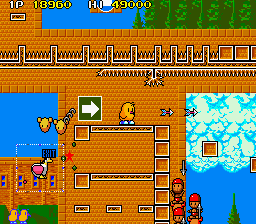 The NewZealand Story