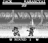 Super Chinese Fighter GB