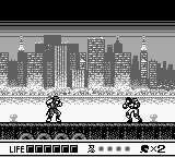 Ninja Gaiden Shadow