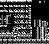 Titus the Fox to Marrakech and Back