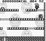 Mr. Chin's Gourmet Paradise