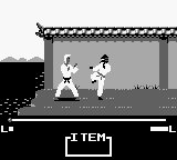 Master Karateka