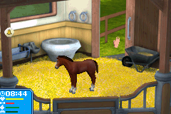 Let's Ride - Friends Forever