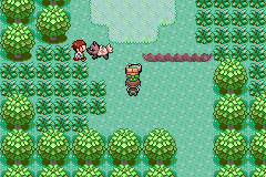 Pokemon Emerald Multiplayer