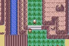 Pokemon Emerald Rogue EX 1.3.2a