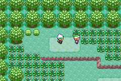 Pokemon Elite Redux v2.5