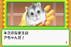 Nakayoshi Pet Advance Series 1 Kawaii Hamster