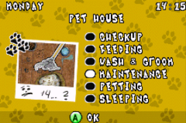 Best Friends - Dogs & Cats