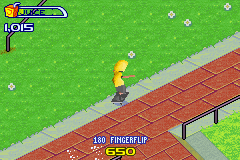 Backyard Skateboarding