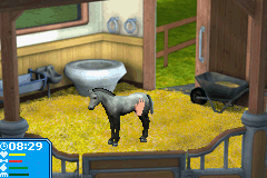 Best Friends - My Horse