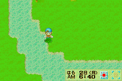 Bokujou Monogatari - Mineral Town no Nakama Tachi