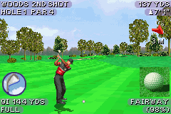 Tiger Woods PGA Tour 2004