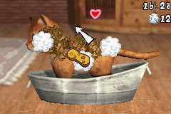 Dogs & Cats - Best Friends