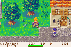 Dokapon Q Monster Hunter