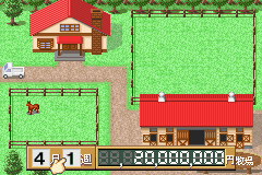 Derby Stallion Advance