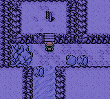 Pokemon Coral Version