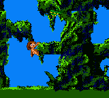 Tarzan (USA, Europe)