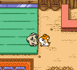 Tottoko Hamutarou 2 - Hamu-chan Zu Daishuugou Dechu