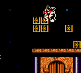 Titus the Fox to Marrakech and Back