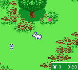 Kelly Club - Clubhouse Fun