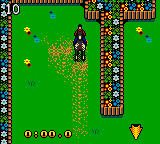 Mary-Kate and Ashley - Winners Circle