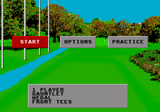 World Class Leaderboard Golf (USA)