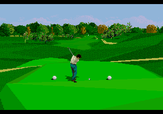 PGA Tour 96