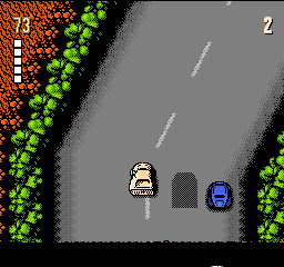 Ultimate Stuntman, The