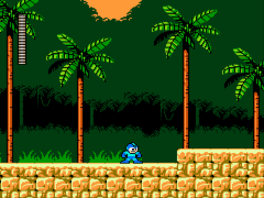Mega Man 5