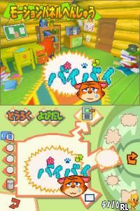 Crash Bandicoot Festival