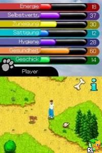 Best Friends - Hunde & Katzen