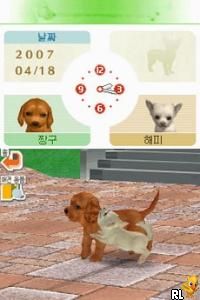 Nintendogs - Chihuahua & Chingudeul