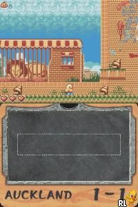 New Zealand Story DS