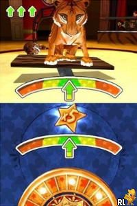 Petz - Wild Animals - Tigerz