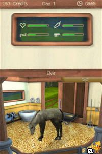 Let's Ride - Friends Forever