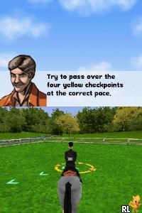 Pass the Pigs - Let the Good Swines Roll!