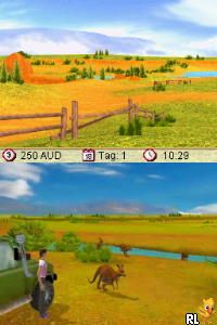 Meine Tierarztpraxis in Australien