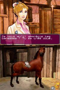 Real Stories - Veterinaire