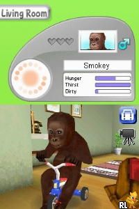 Petz - Monkeyz House