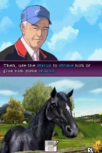 Ellen Whitaker's Horse Life