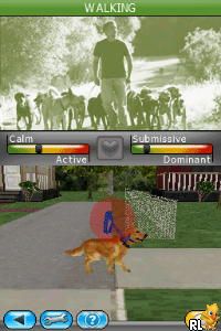 Cesar Millan's Dog Whisperer