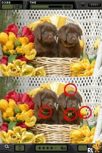 Finde die Unterschiede - Foto Frenzy