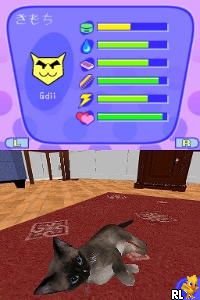 Catz 2 - Daisuki Nyan Nyan Park