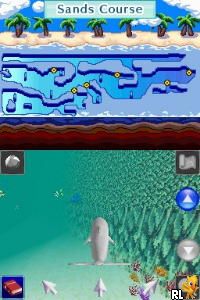 Discovery Kids - Dolphin Discovery