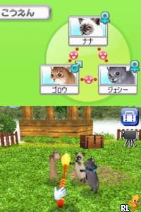 Petz - Catz - Koneko to Issho ni Tanoshiku Asobou