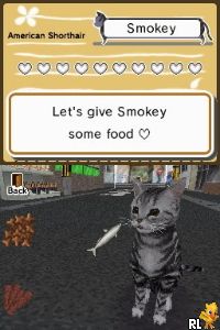 Animal Paradise - Wild