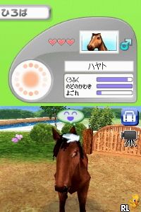 Petz - Horsez - Kouma to Issho ni Tanoshiku Asobou