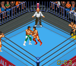 Super Fire Pro Wrestling X