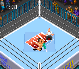Super Fire Pro Wrestling 2