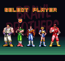 Brawl Brothers - Rival Turf! 2